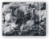Bisclaveret: Psyche noMine (CD)